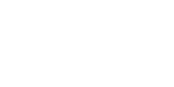 네이버페이 logo